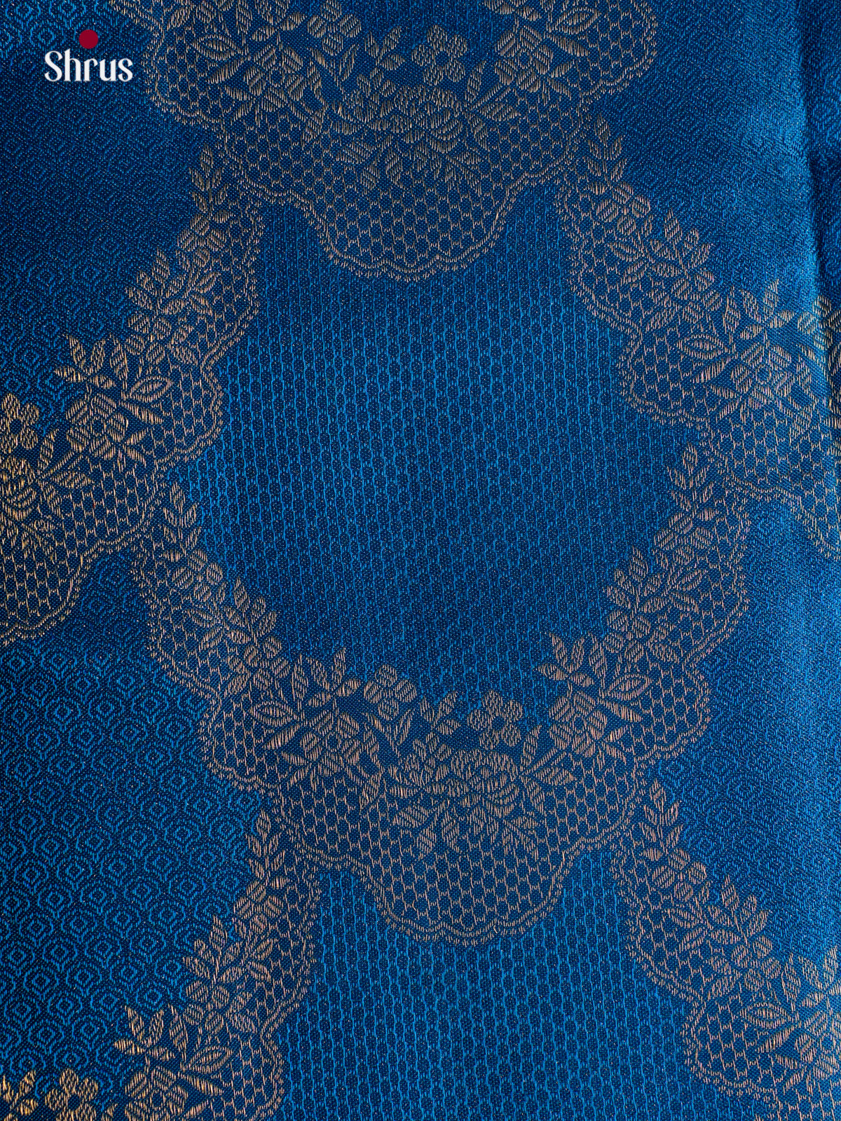 Kanchipuram silk Saree - EGS03049