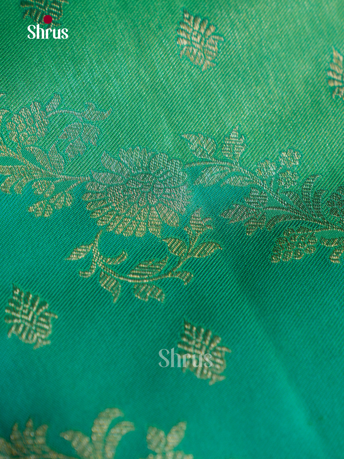 Kanchipuram silk Saree - EGS03060