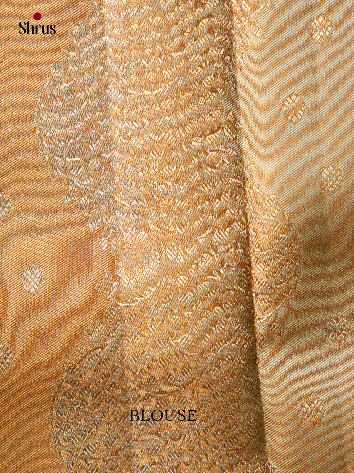 Kanchipuram silk Saree - EGS03063