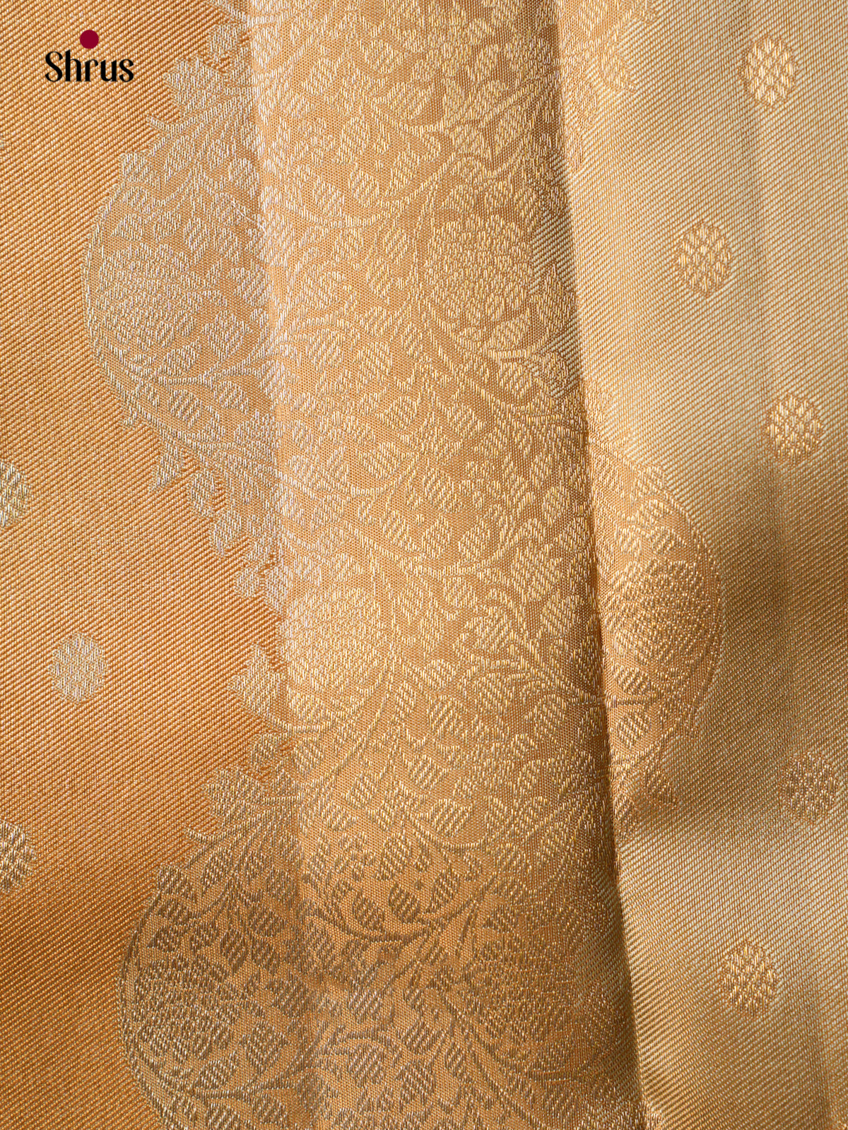 Kanchipuram silk Saree - EGS03063