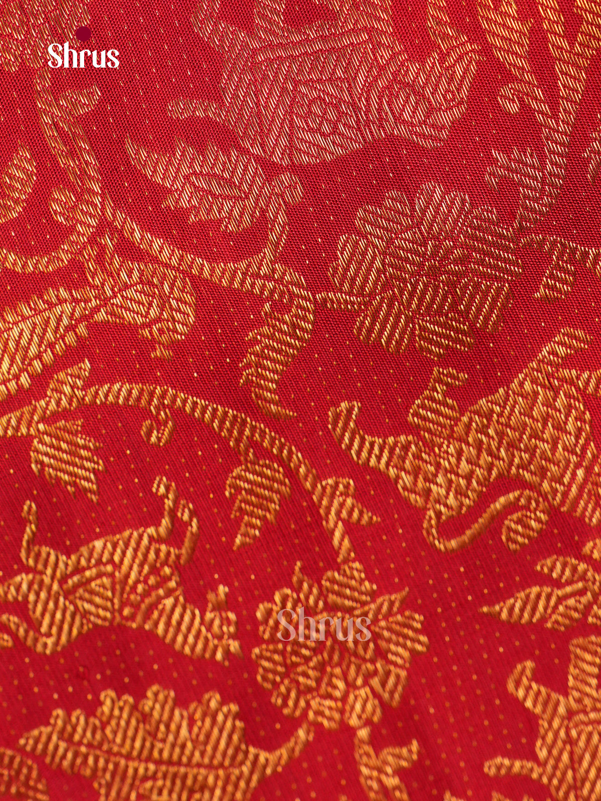 Kanchipuram silk Saree - EGS03158