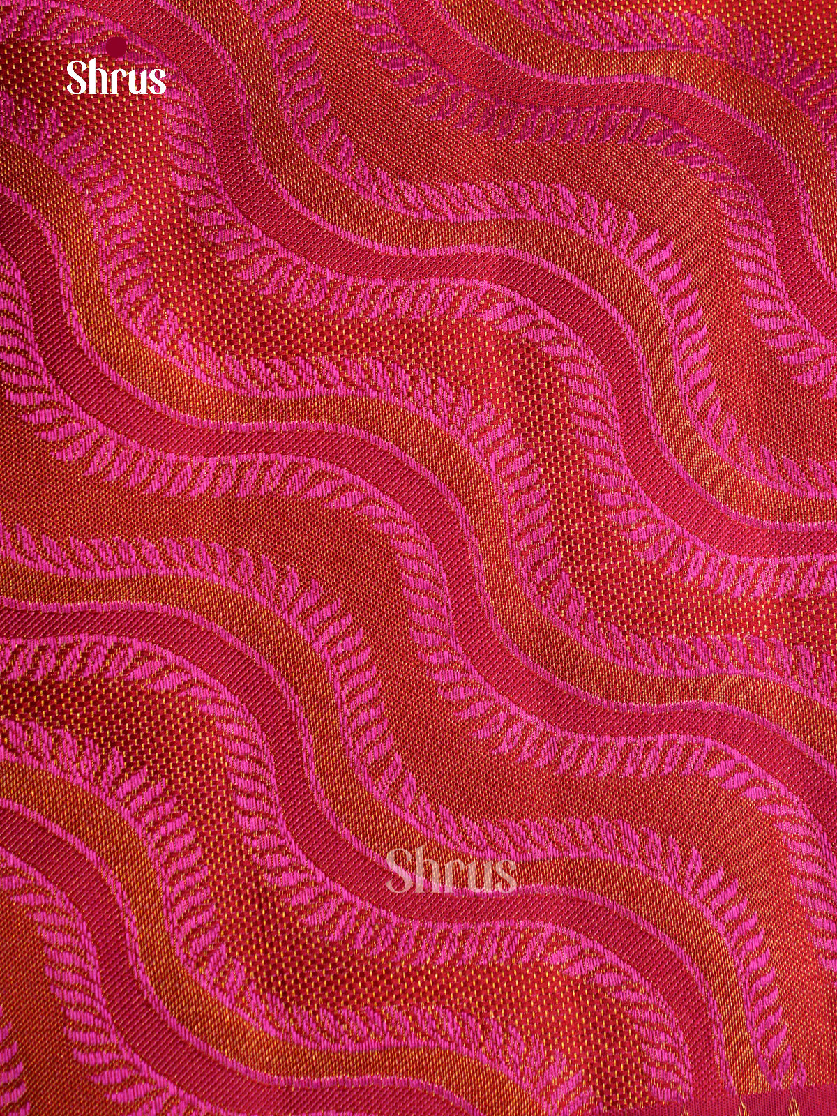 Kanchipuram silk Saree - EGS03164