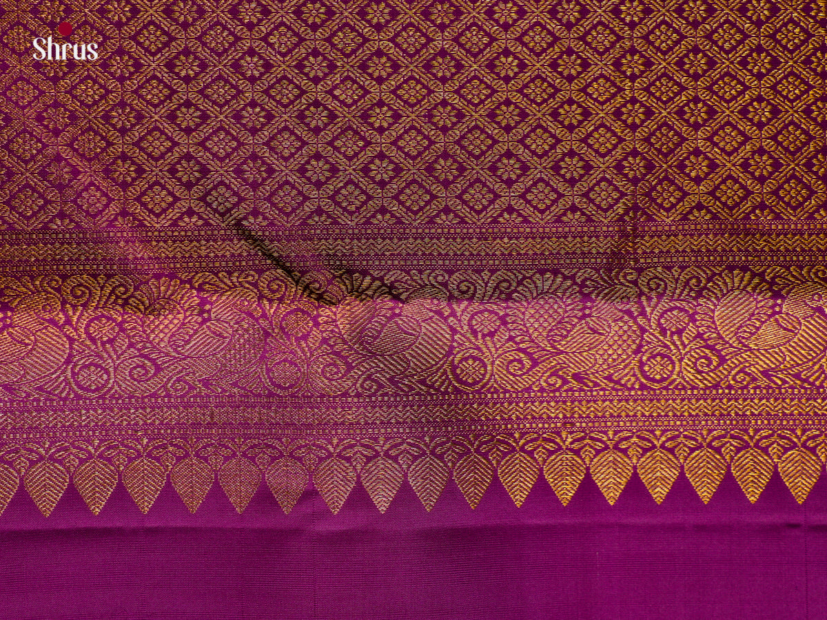 Kanchipuram silk Saree - EGS03192