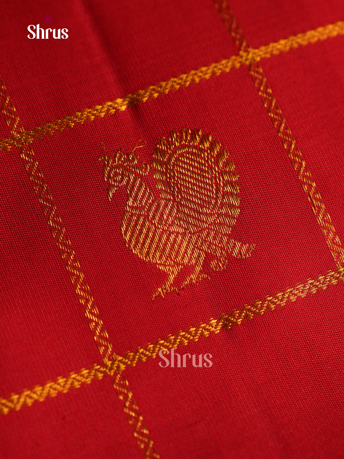 Kanchipuram silk Saree - EGS03206