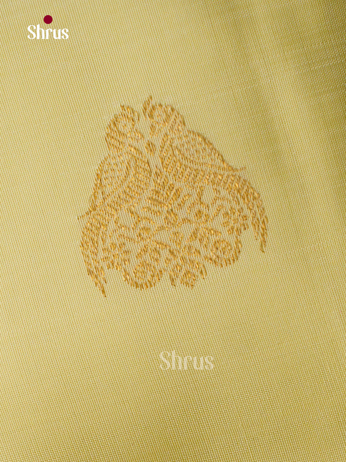 Kanchipuram silk Saree - EGS03251