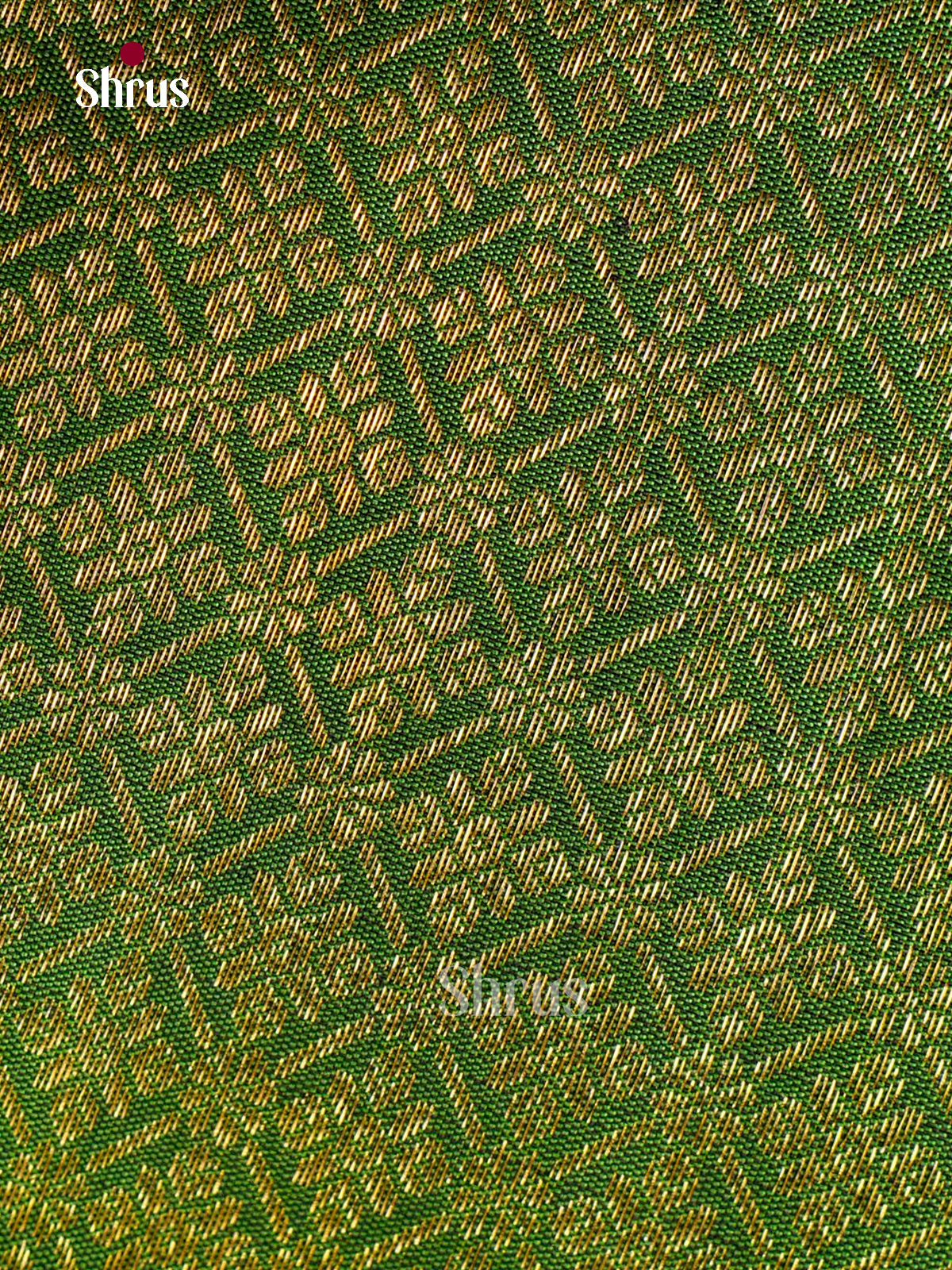 Kanchipuram silk Saree - EGS03261