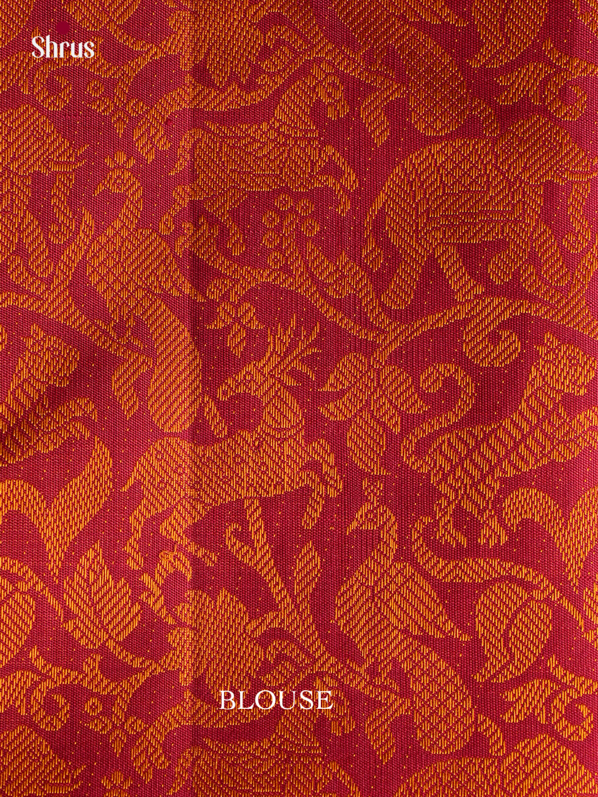Kanchipuram silk Saree - EGS03272