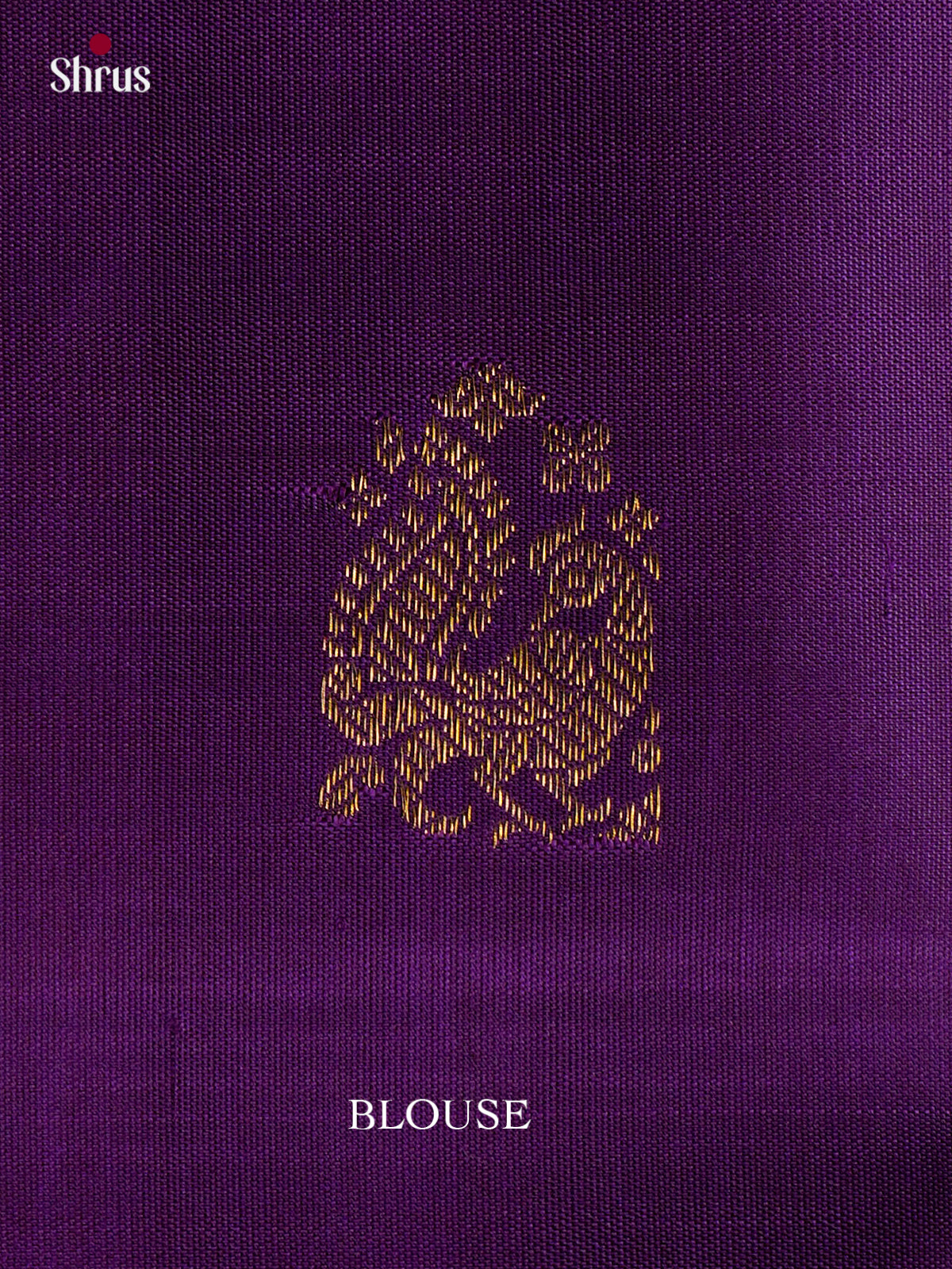 Kanchipuram silk Saree - EGS03279