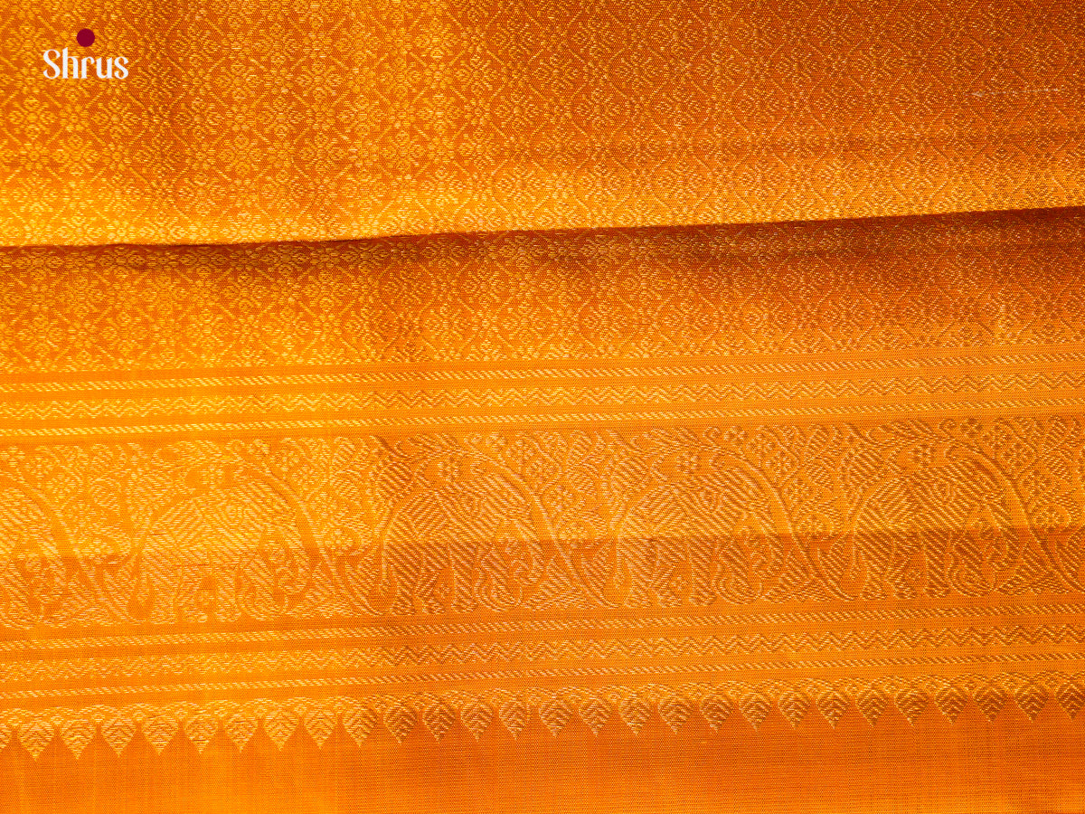 Kanchipuram silk Saree - EGS03279
