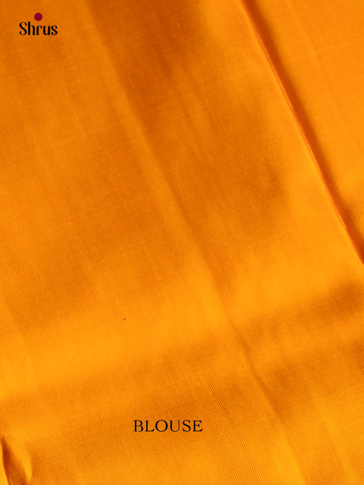 Kanchipuram silk Saree - EGS03281