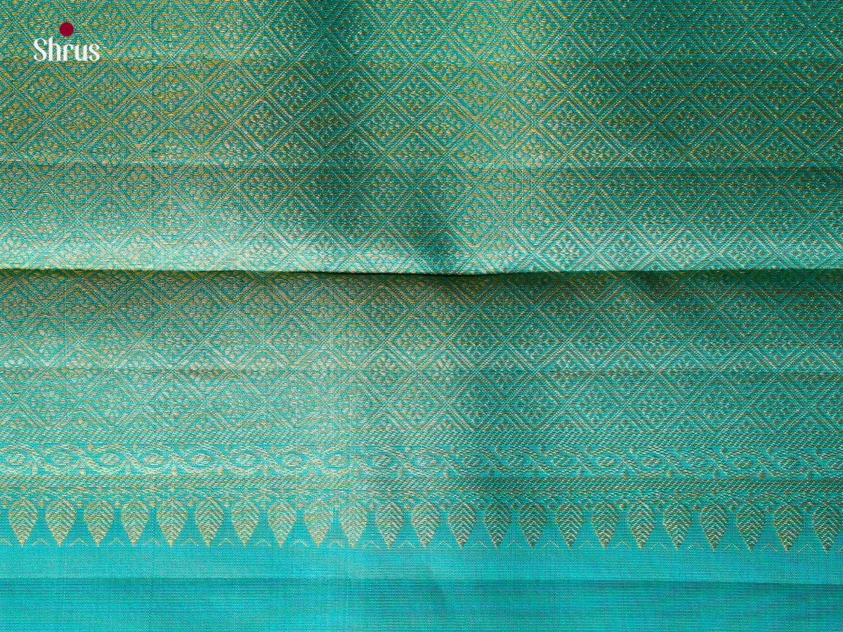 Kanchipuram silk Saree - EGS03309