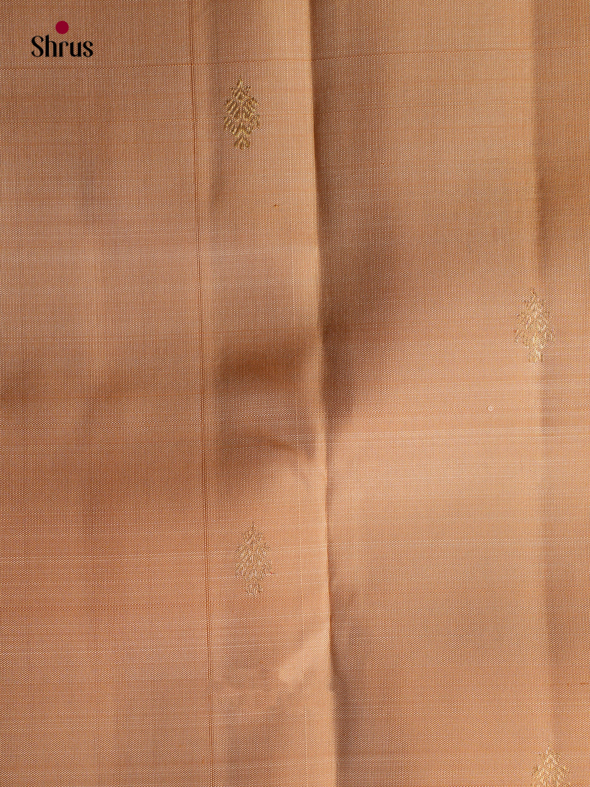 Kanchipuram silk Saree - EGS03336