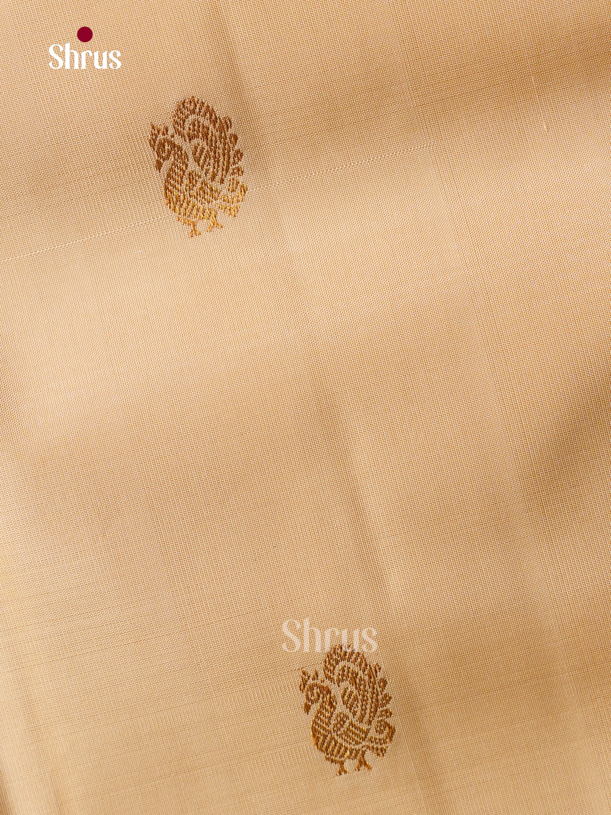 Kanchipuram silk Saree - EGS03343