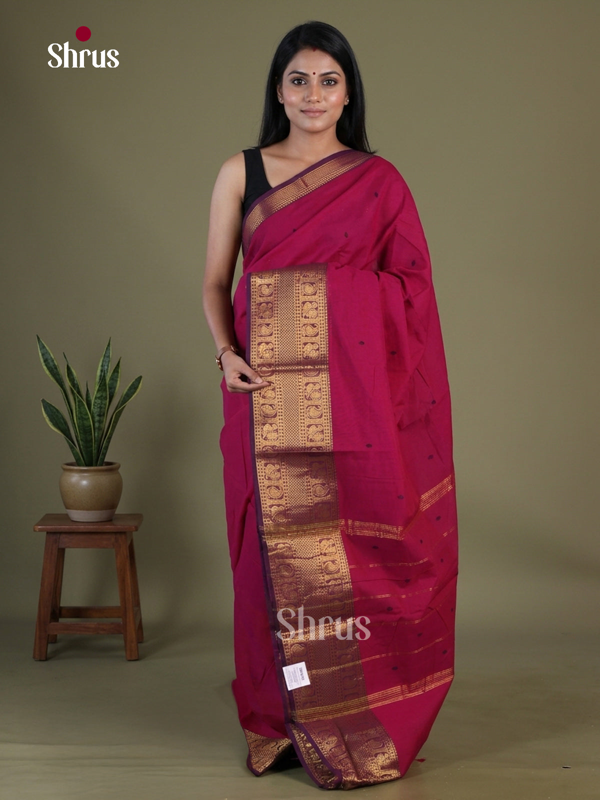 Chettinad Cotton Saree - EGS03378