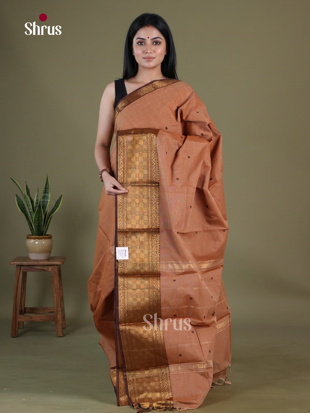 Chettinad Cotton Saree - EGS03379