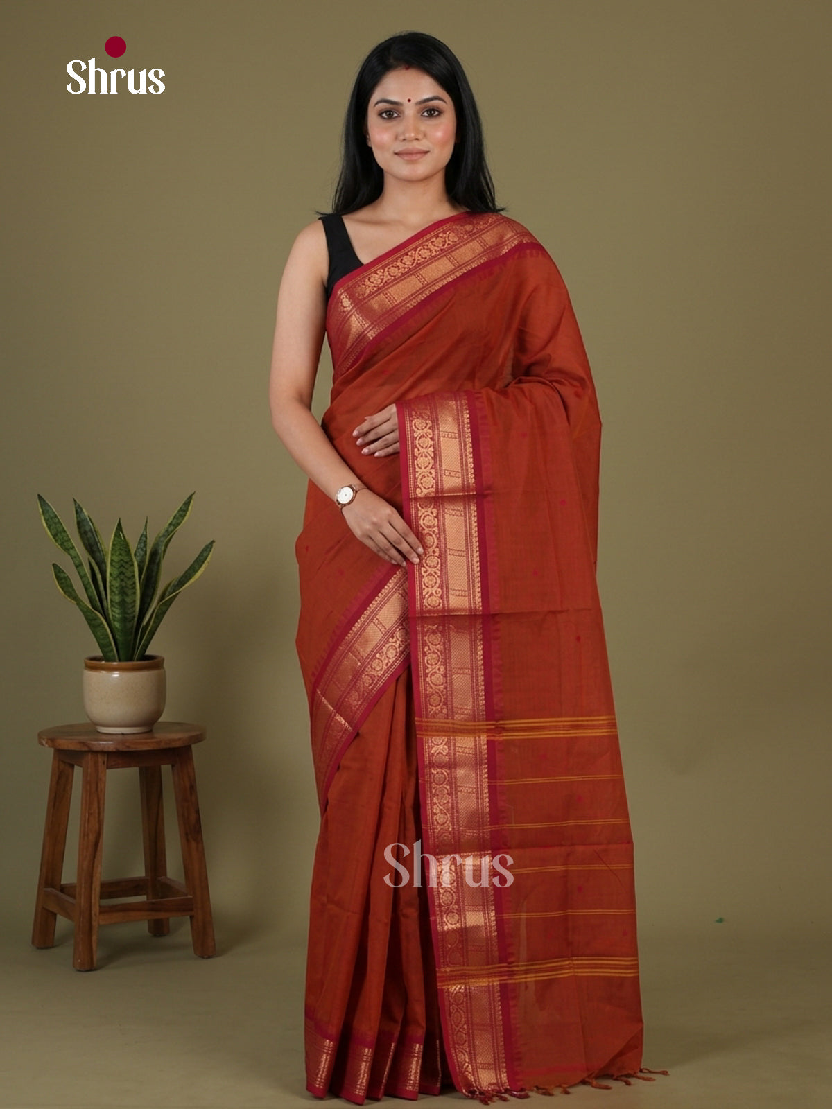 Chettinad Cotton Saree - EGS03403
