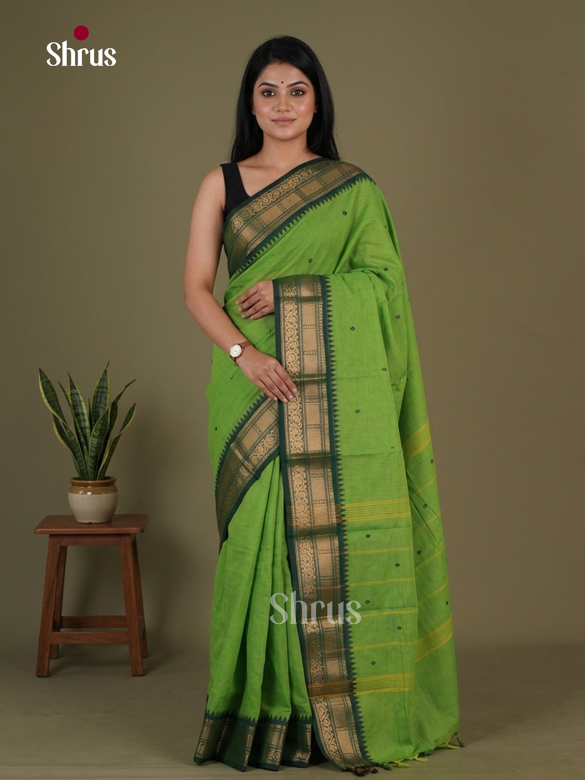 Chettinad Cotton Saree - EGS03413