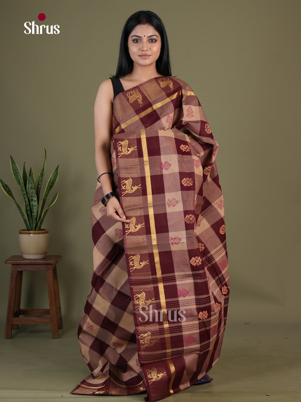Chettinad Cotton Saree - EGS06036