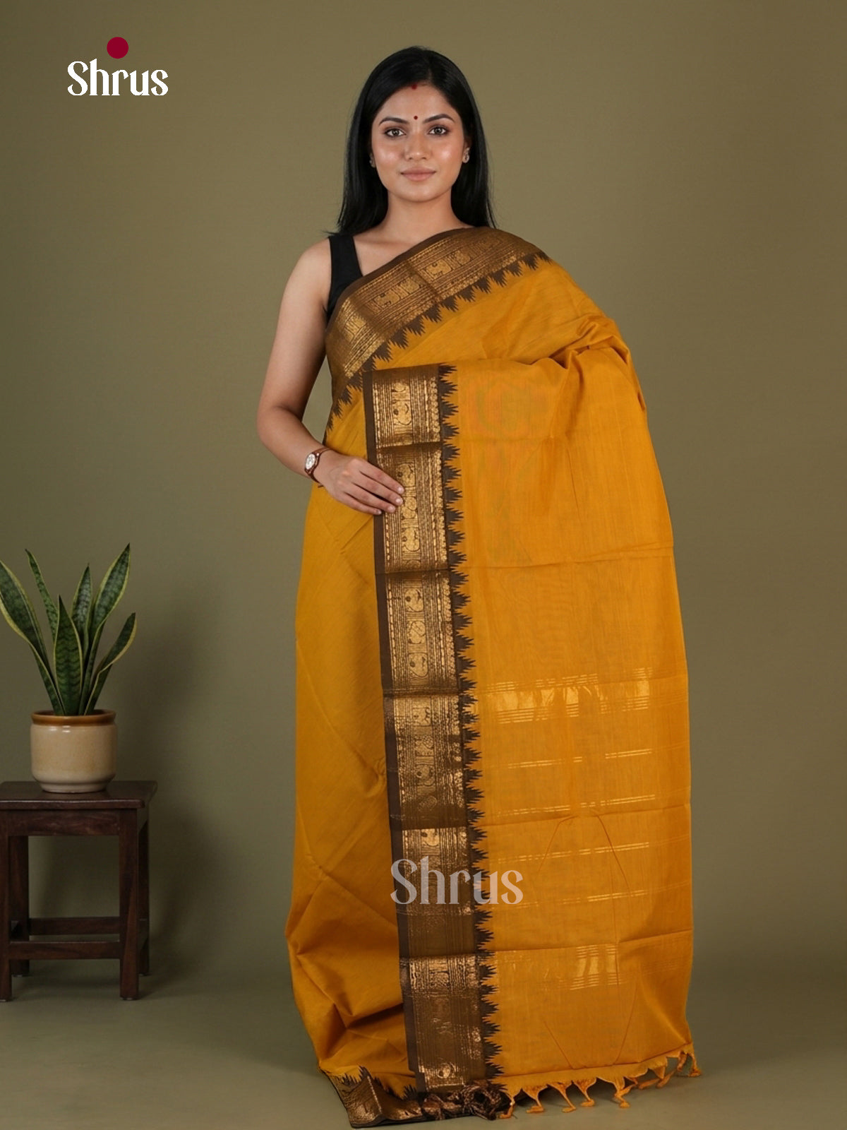Chettinad Cotton Saree - EGS07027