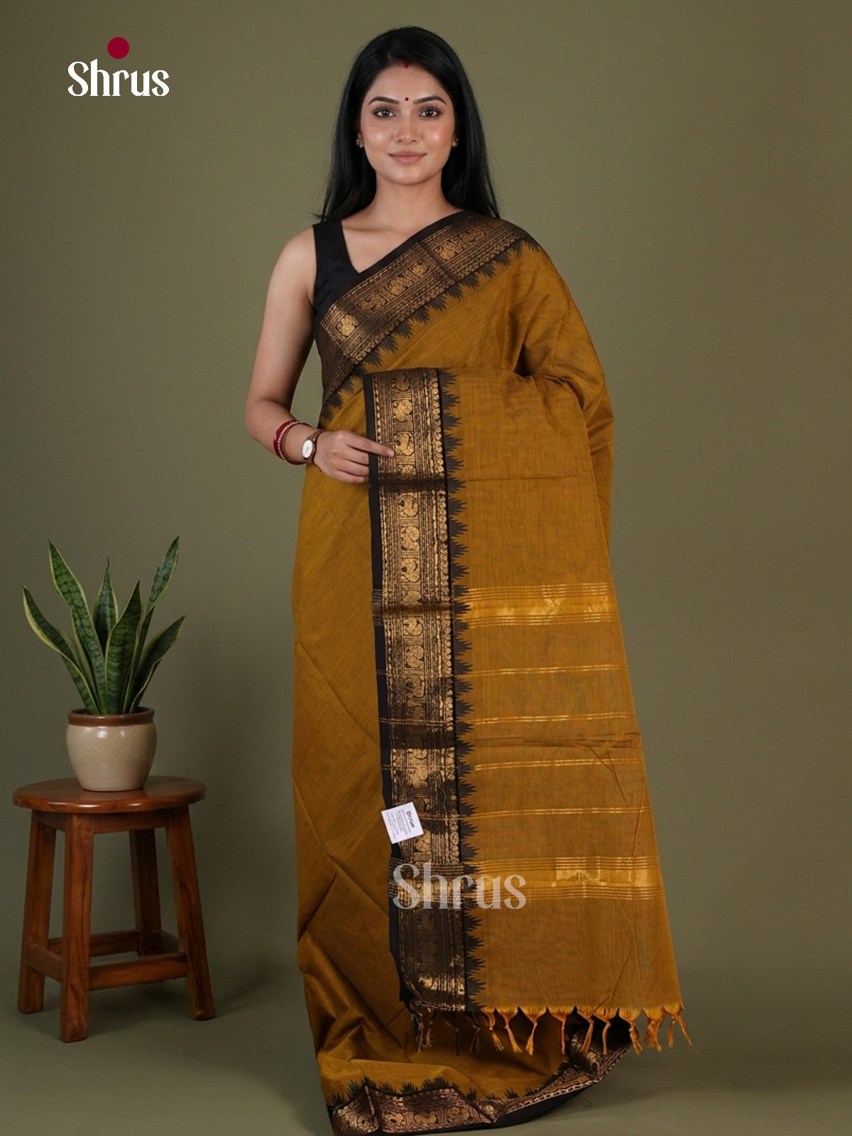 Chettinad Cotton Saree - EGS07029