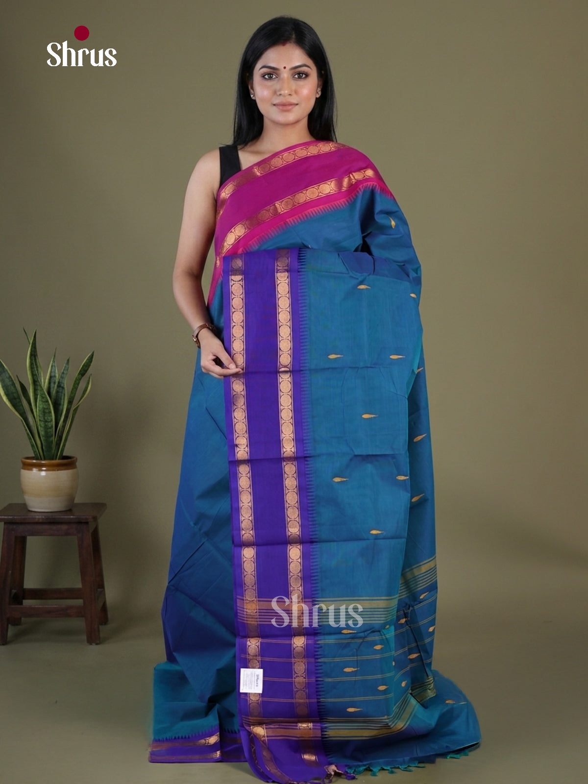 Chettinad Cotton Saree - EGS08002