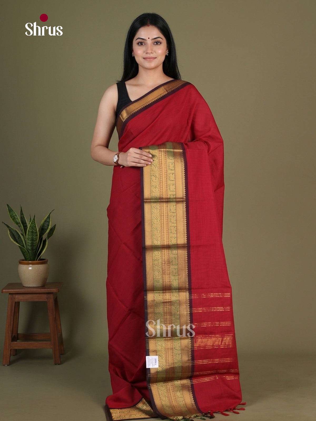 Chettinad Cotton Saree - EGS08029
