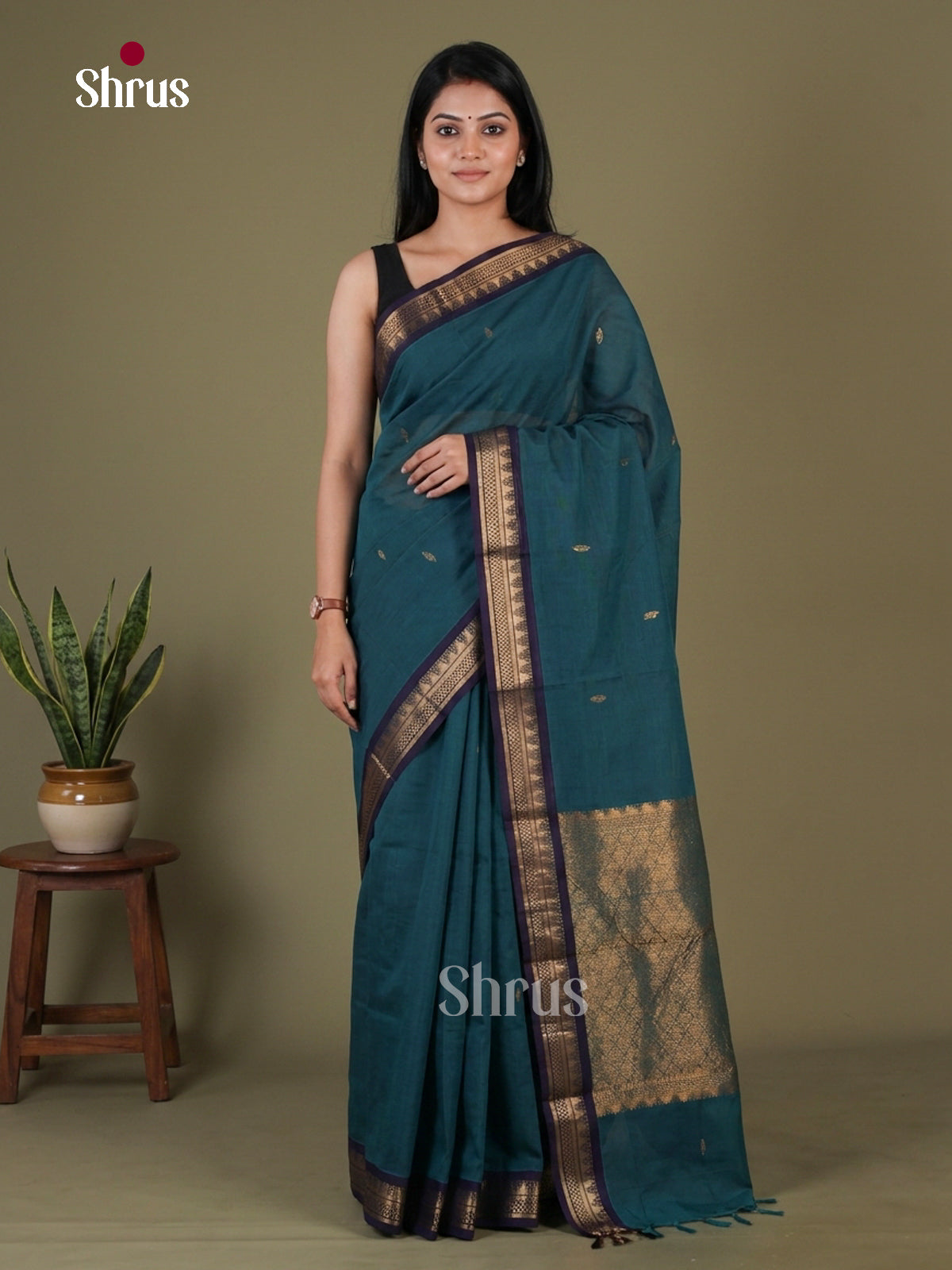 Chettinad Cotton Saree - EGS08037