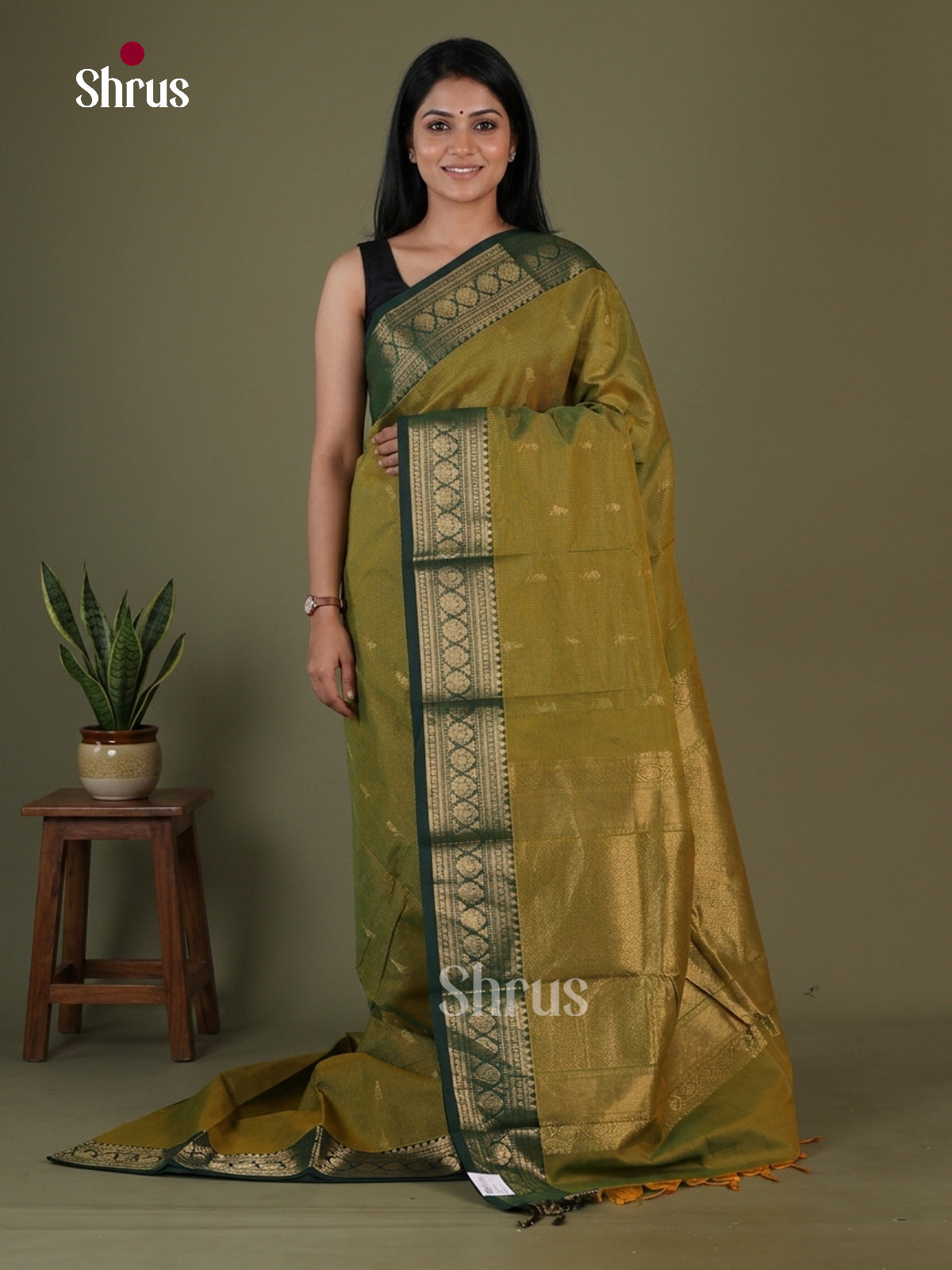 Chettinad Cotton Saree - EGS08143