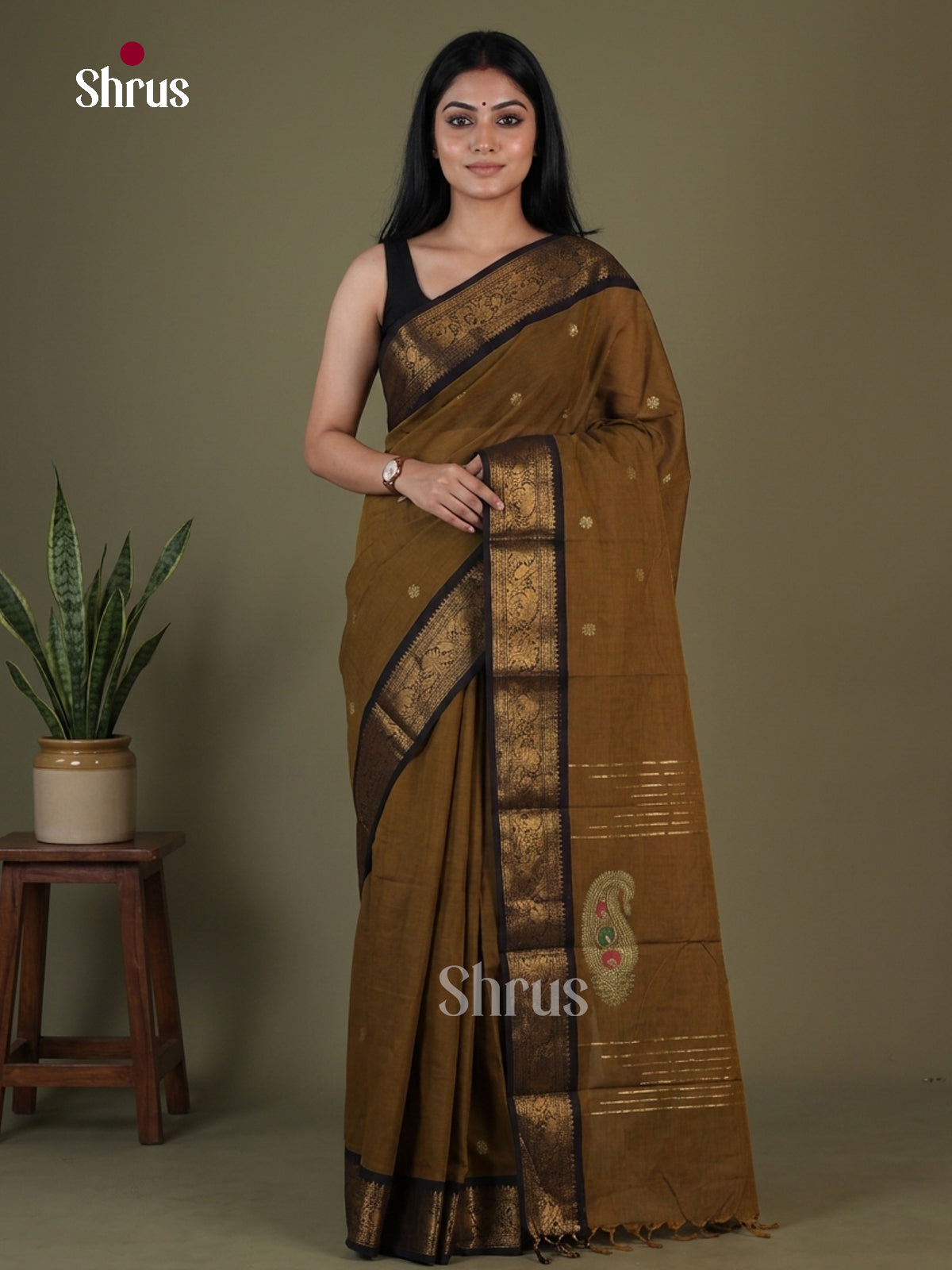 EGS09022 - Chettinad Cotton Saree - Shop on Shrus.com