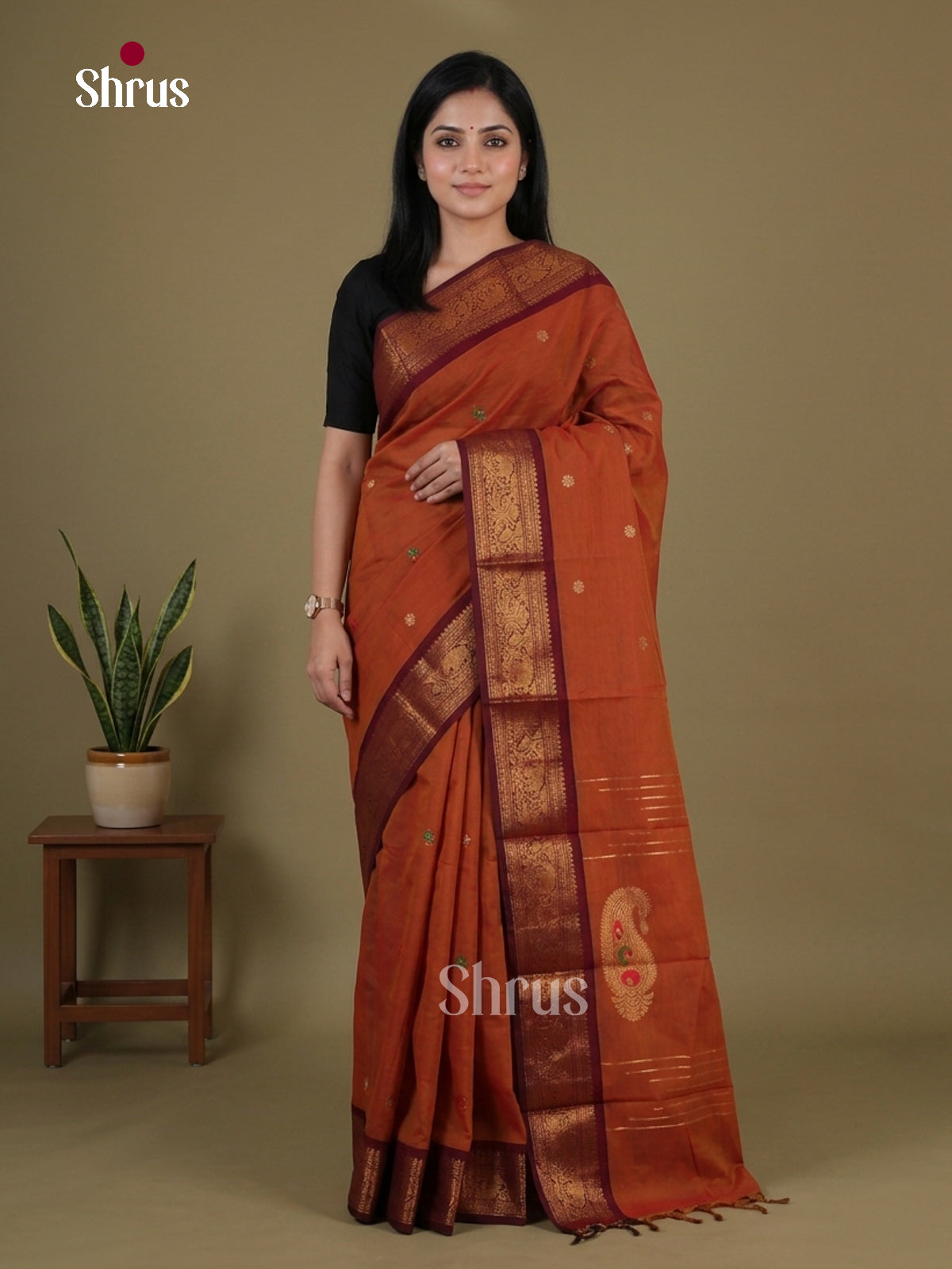 Chettinad Cotton Saree - EGS09023