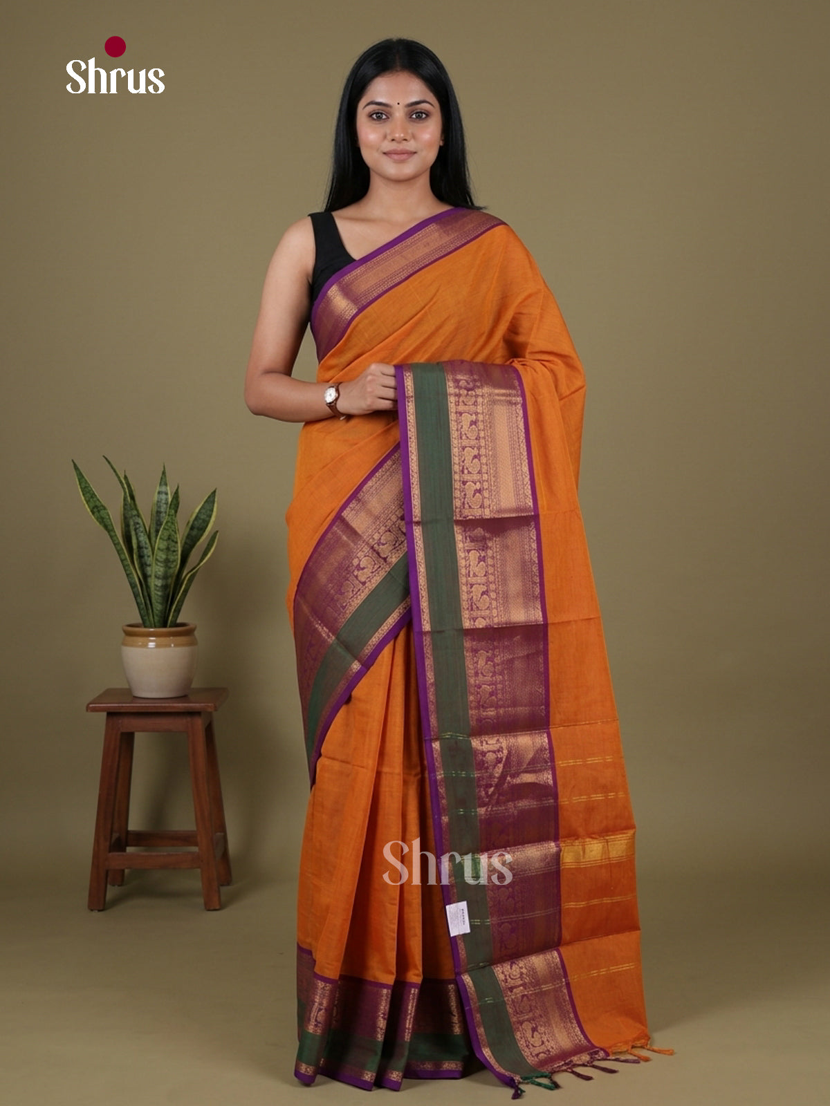 Chettinad Cotton Saree - EGS09081