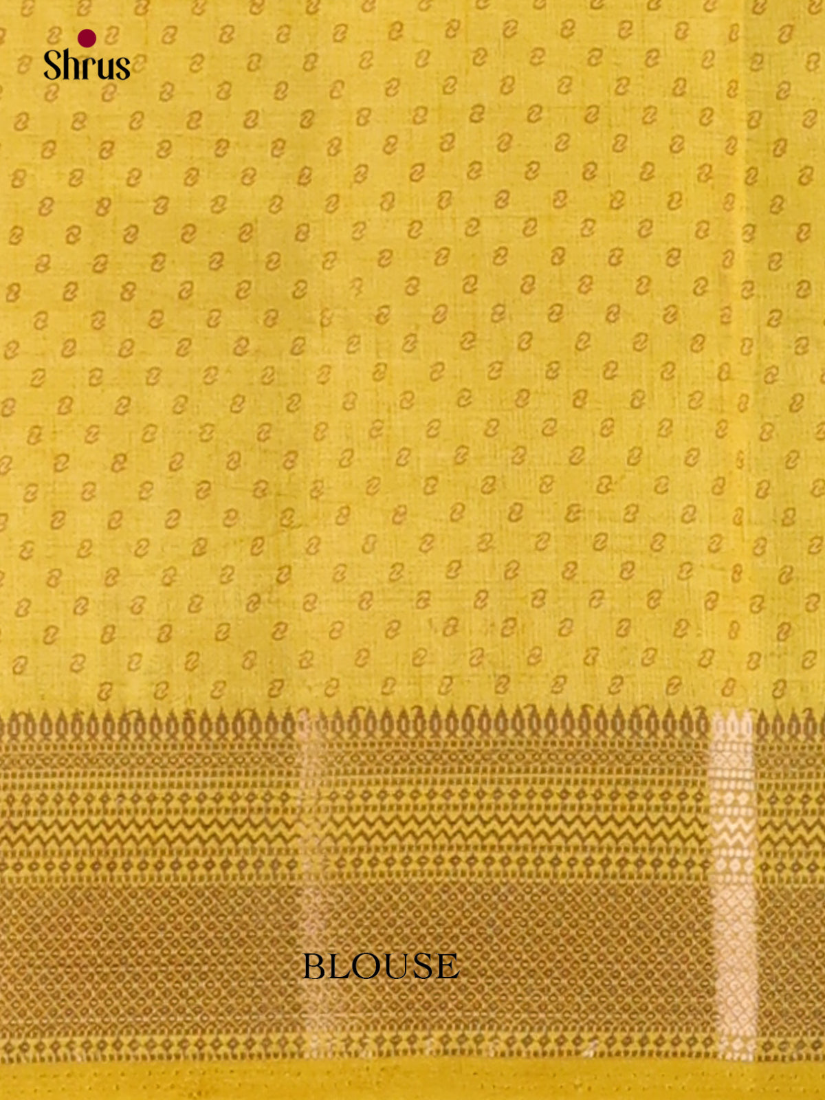 Semi Rawsilk Saree - EGS10021