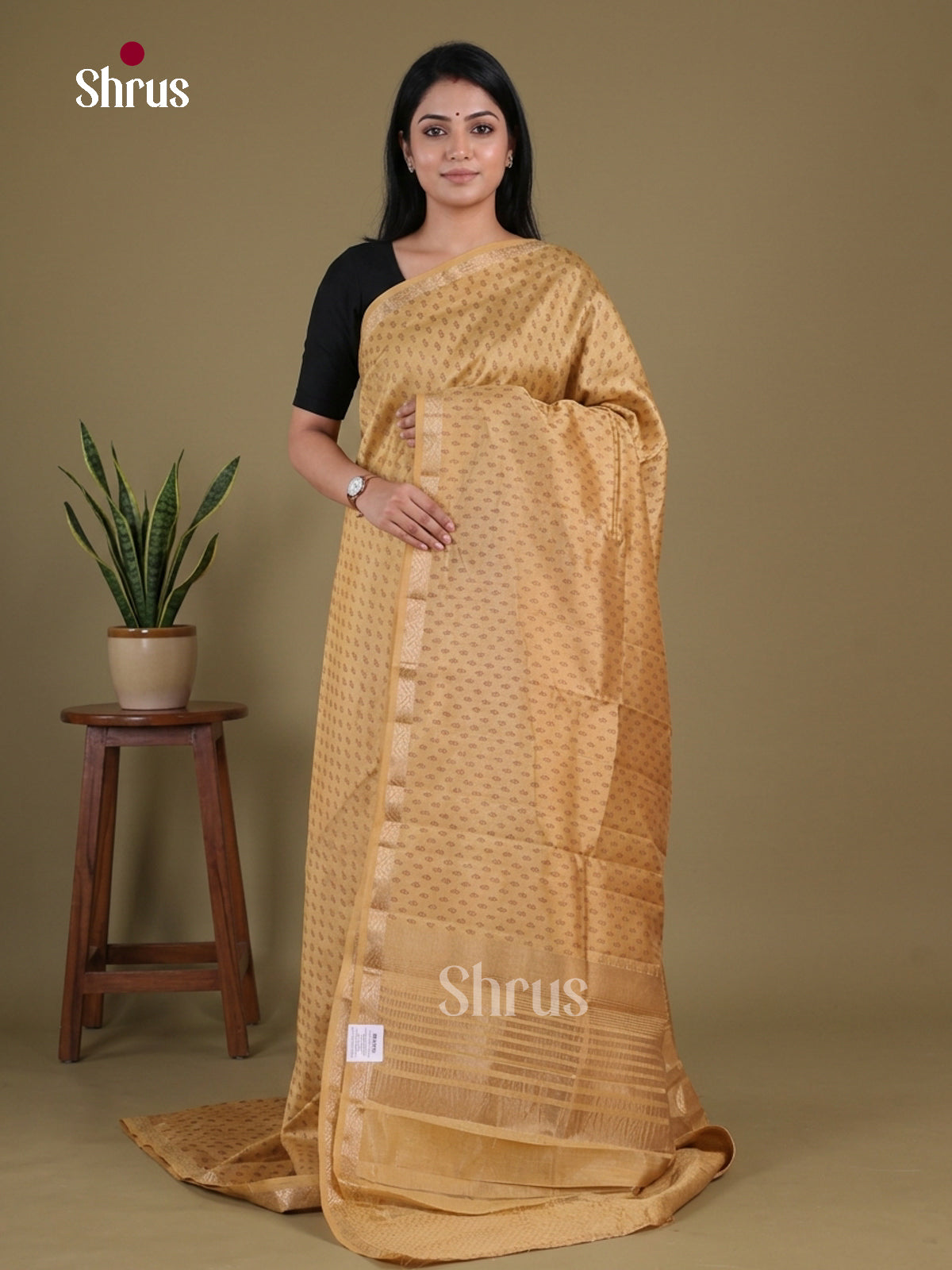 Semi Rawsilk Saree - EGS10196