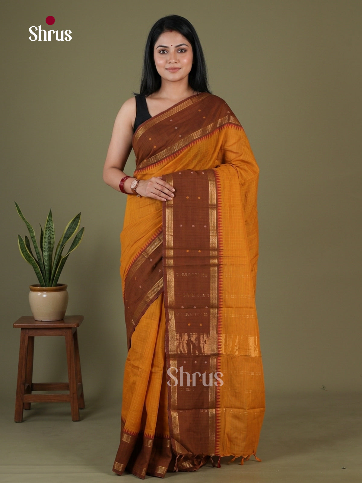 Chettinad Cotton Saree - EGS10368