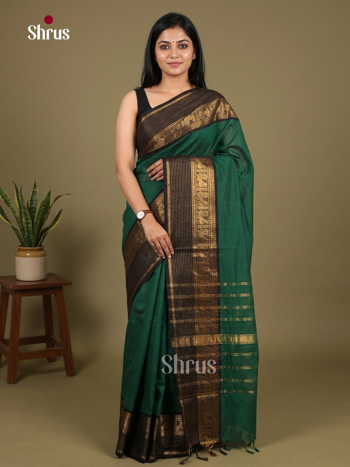 Chettinad Cotton Saree - EGS10378