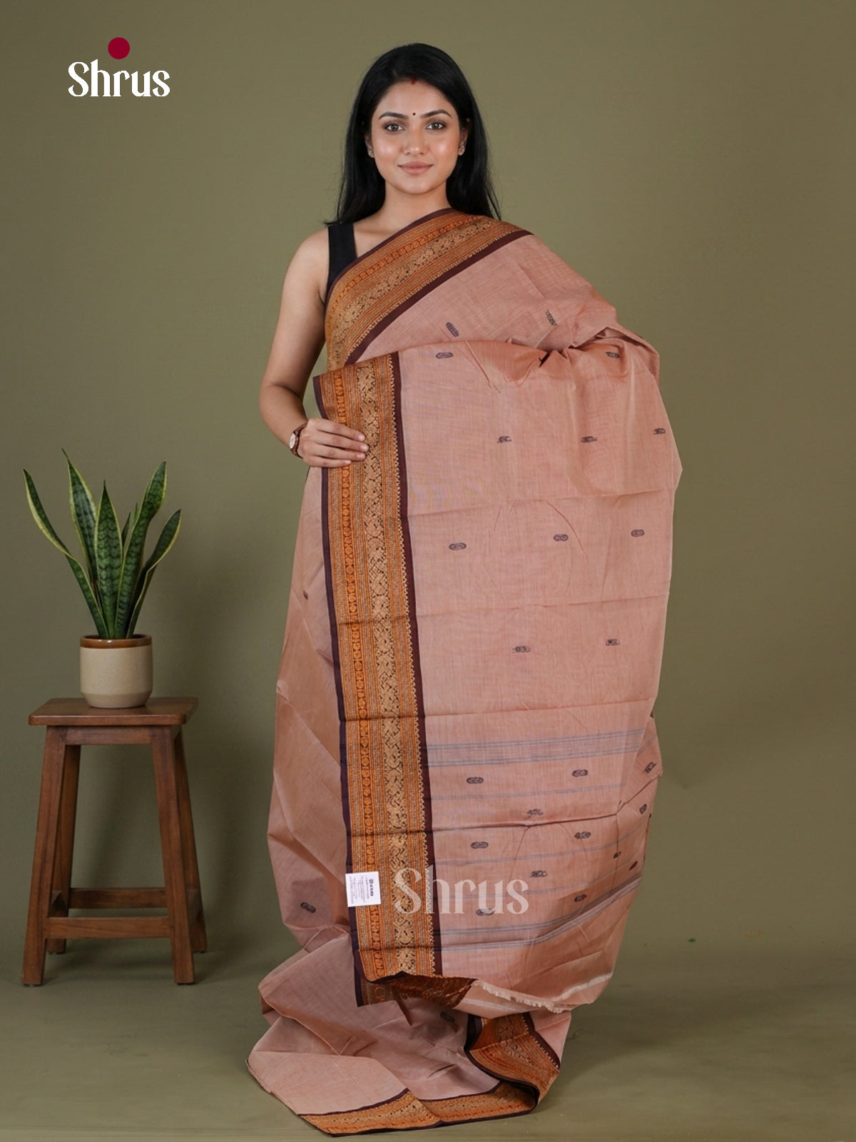 Chettinad Cotton Saree - EGS10390