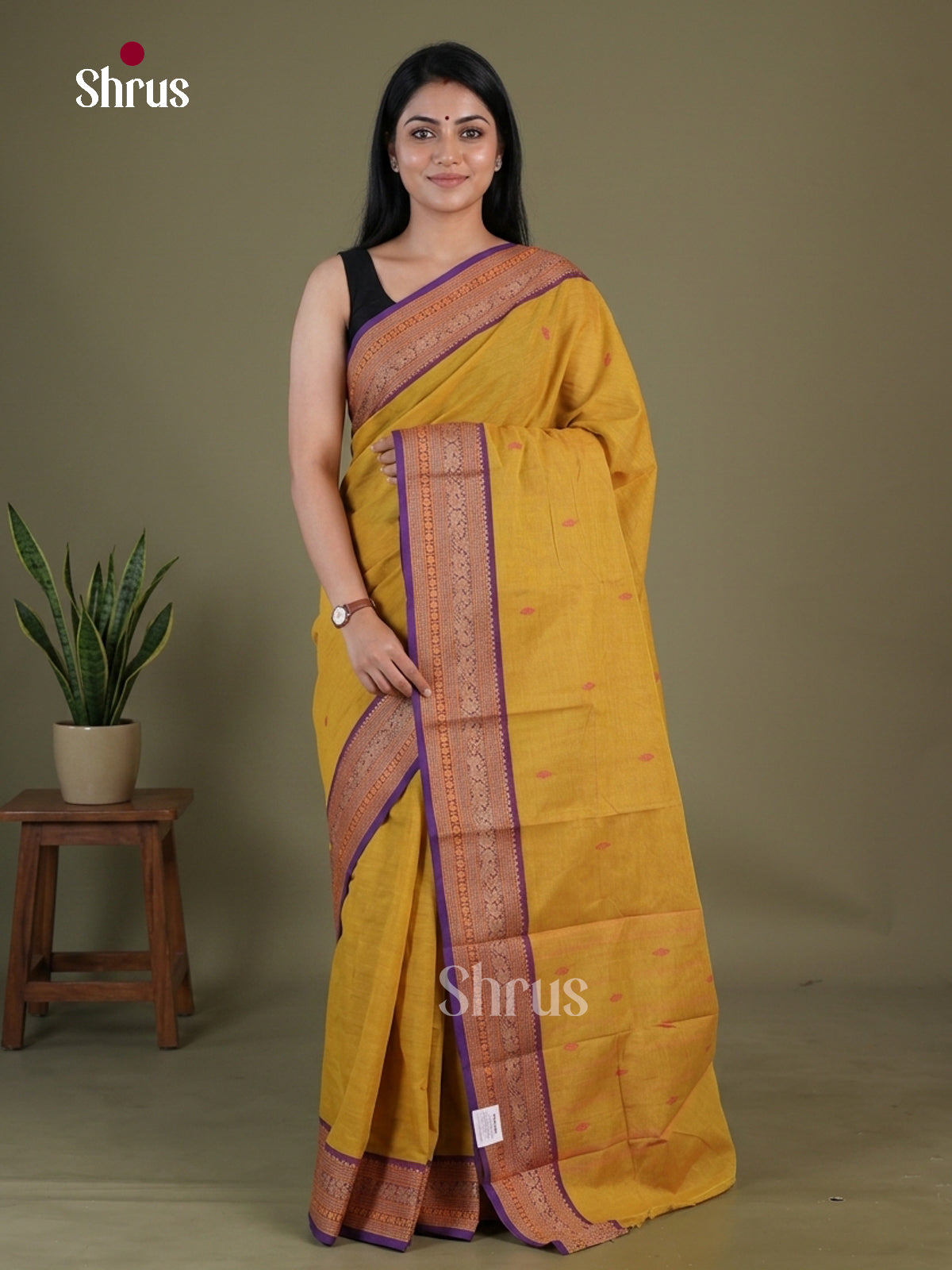 Chettinad Cotton Saree - EGS10396