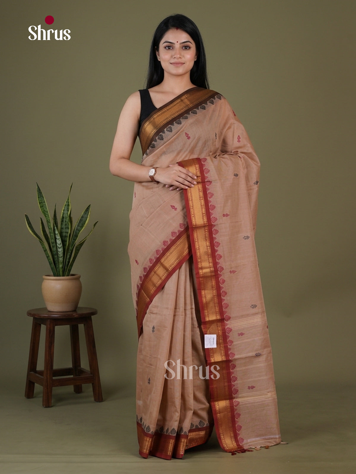 Chettinad Mix Cotton Saree - EGS11004