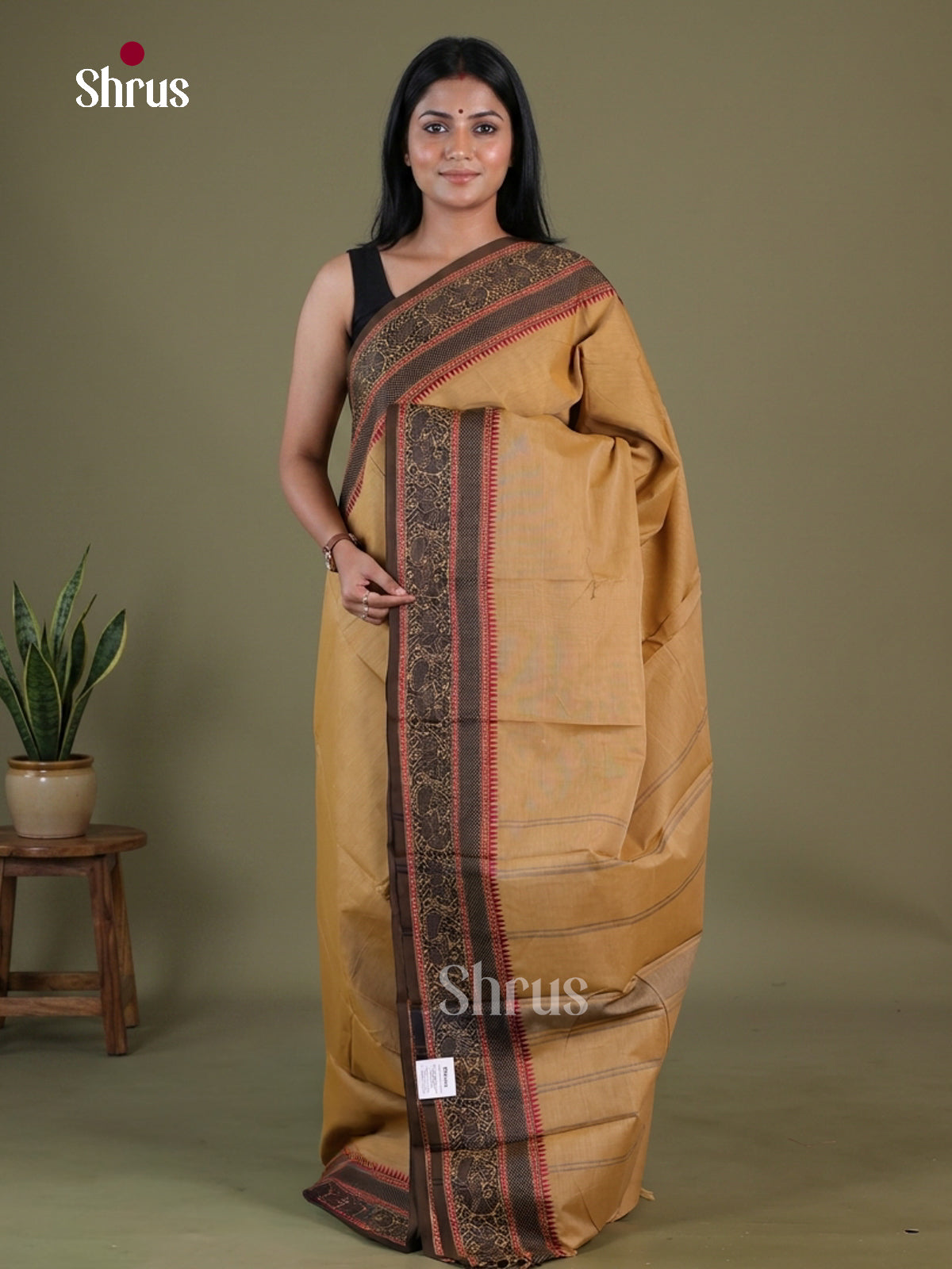 Chettinad Cotton Saree - EGS11010