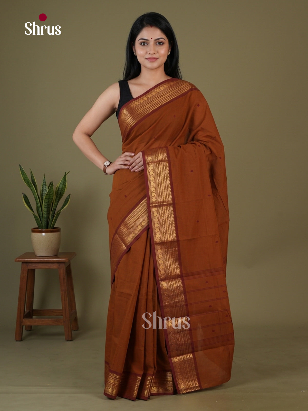 Chettinad Cotton Saree - EGS11022 - Shop on Shrus.com