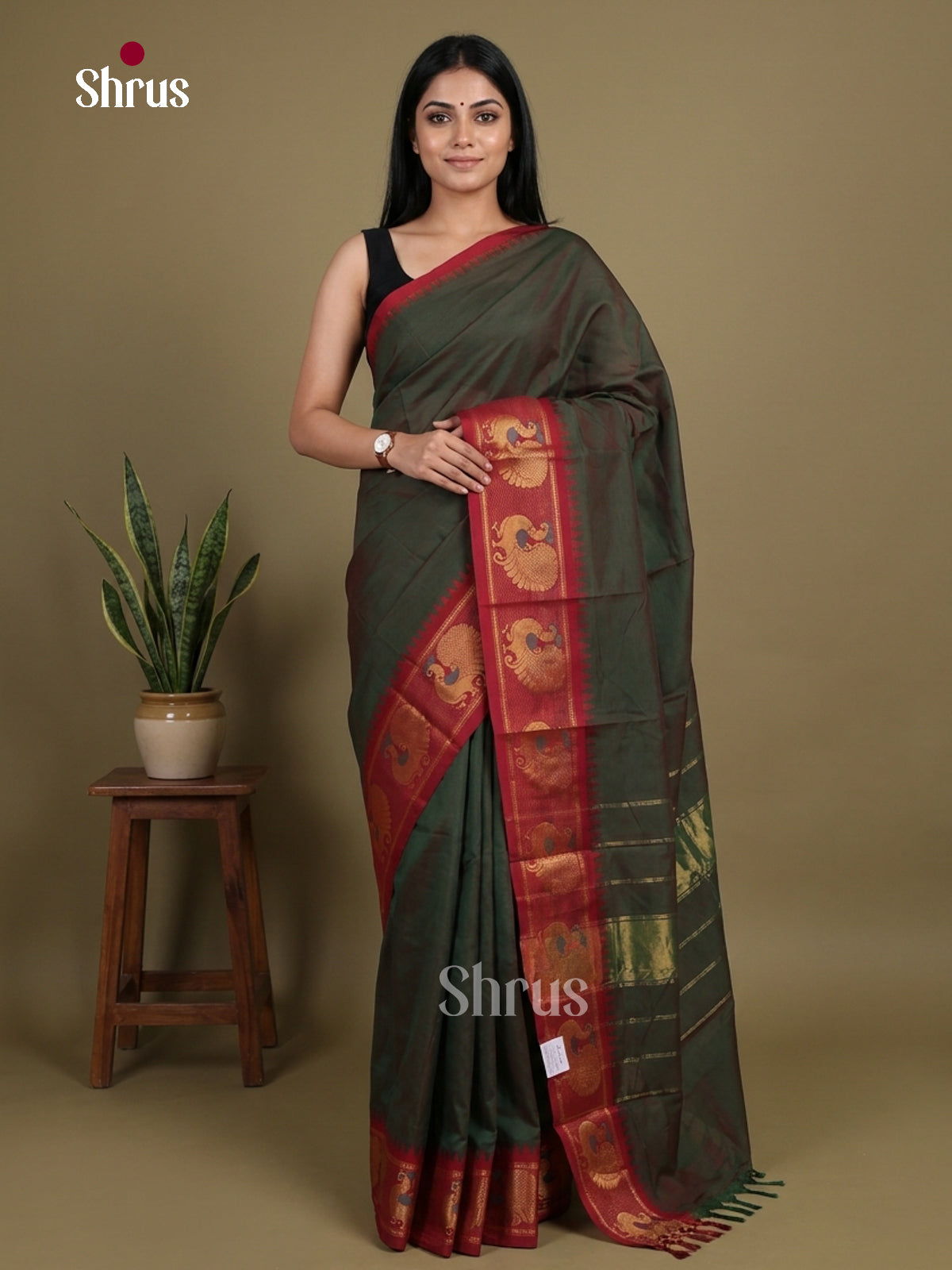 Chettinad Cotton Saree - EGS11025
