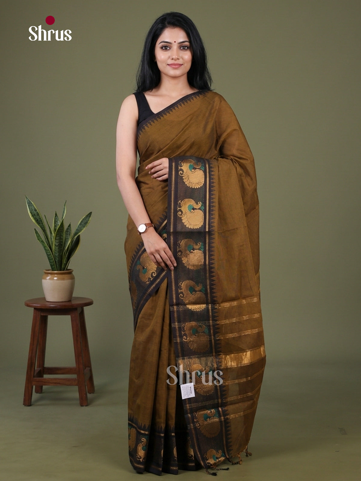 Chettinad Cotton Saree - EGS11030