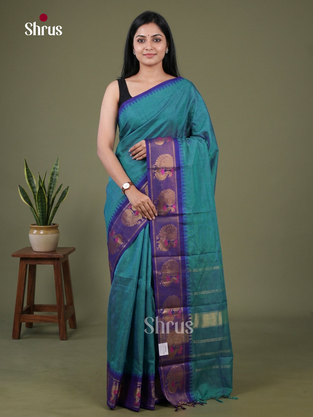 Chettinad Cotton Saree - EGS11031