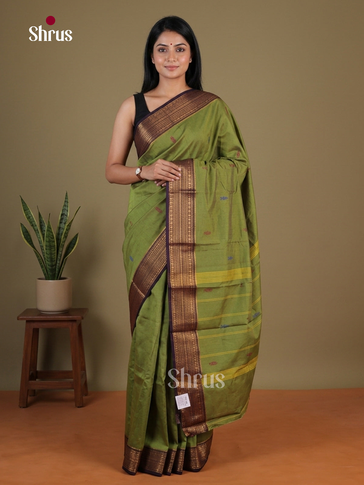 Chettinad Mix Cotton Saree - EGS11035 - Shop on Shrus.com