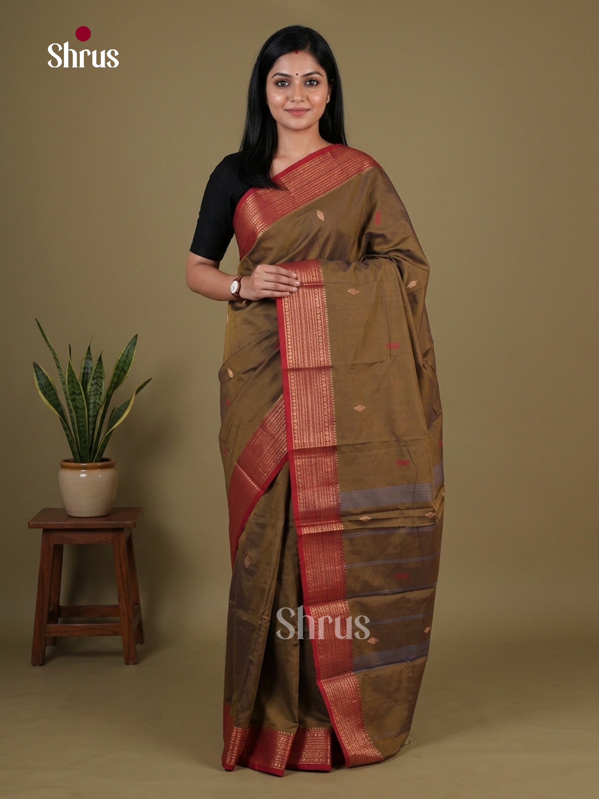 Chettinad Mix Cotton Saree - EGS11041