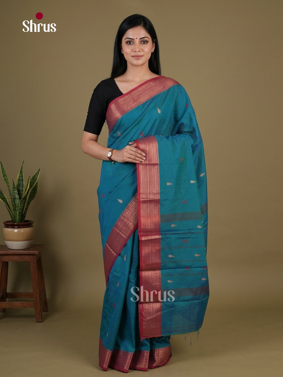 Chettinad Mix Cotton Saree - EGS11042