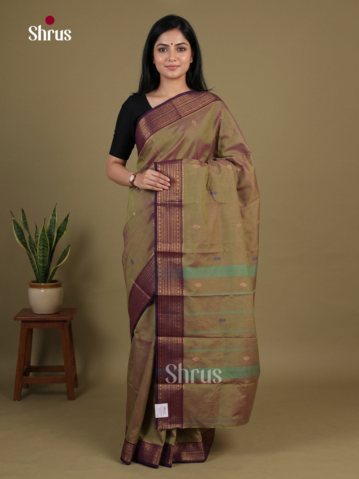 Chettinad Mix Cotton Saree - EGS11047