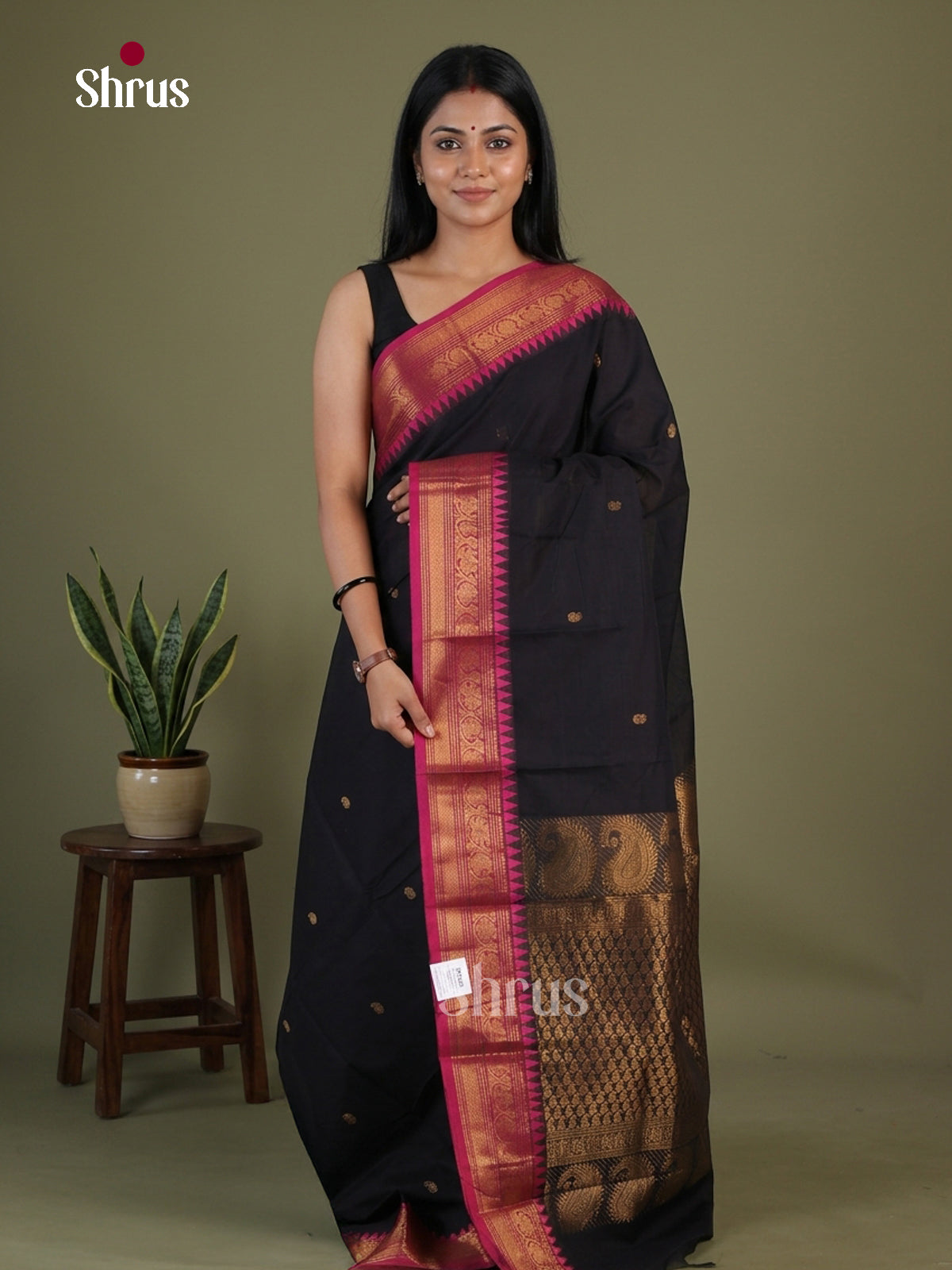Chettinad Cotton Saree - EGS11050