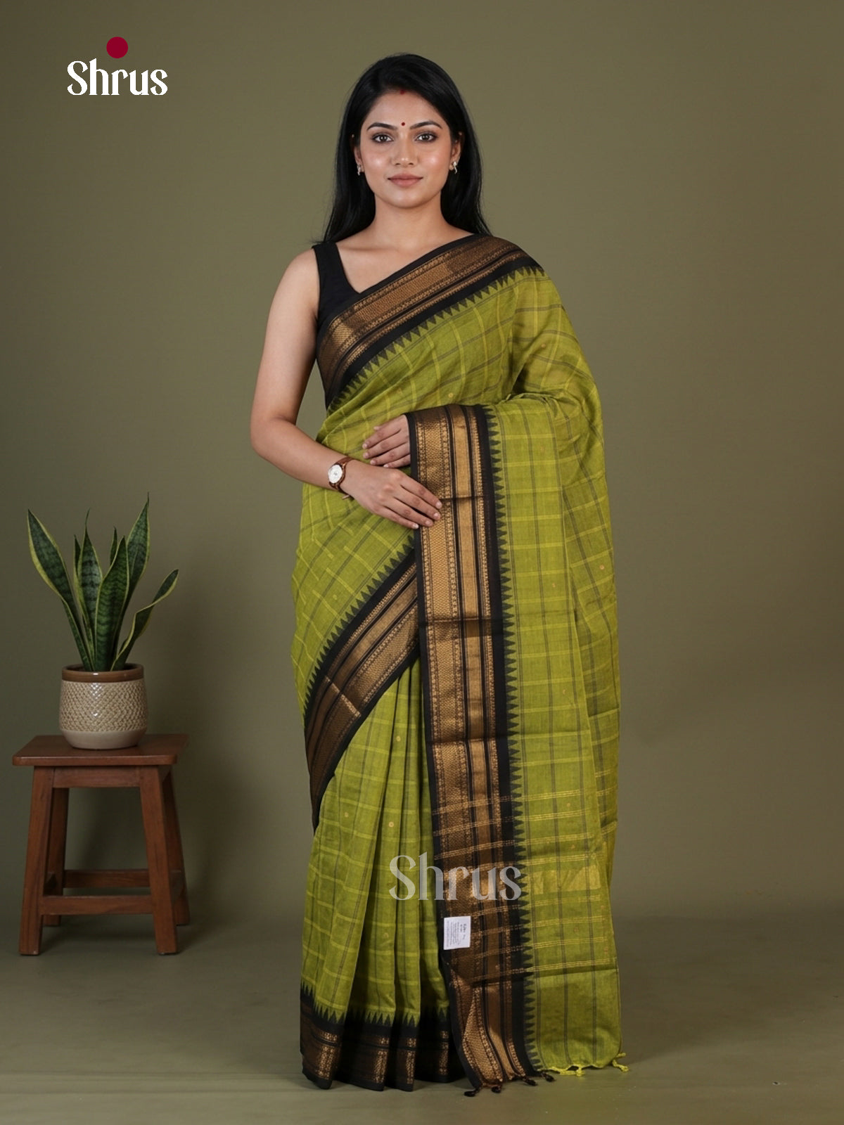 Chettinad Cotton Saree - EGS11067 - Shop on Shrus.com