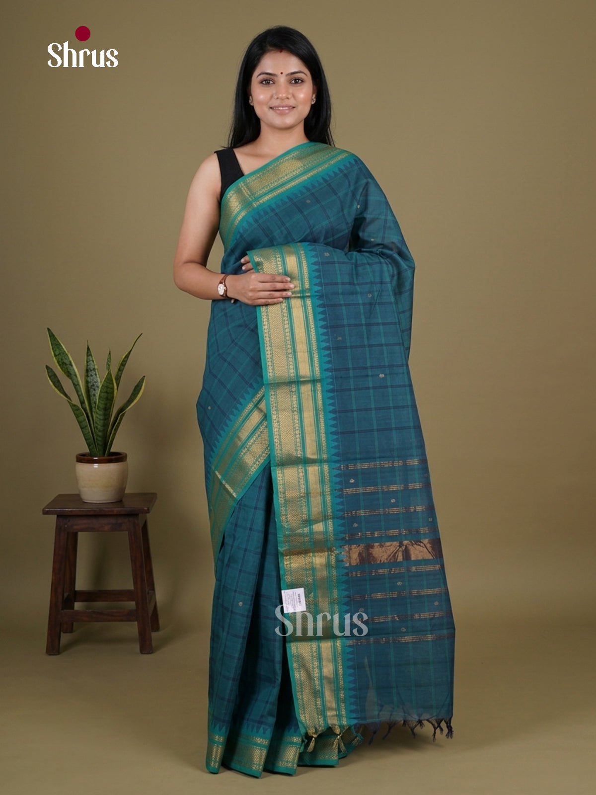 Chettinad Cotton Saree - EGS11069